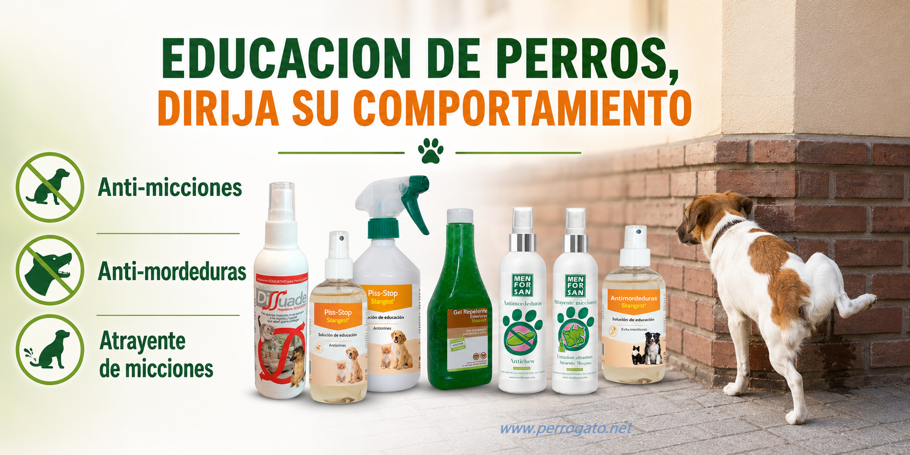 Educaci&oacute;n anti-micciones